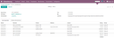 Odoo Datev Export